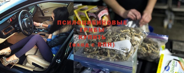 Альфа ПВП Снежинск
