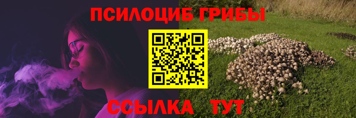 Псилоцибиновые грибы Cubensis Снежинск