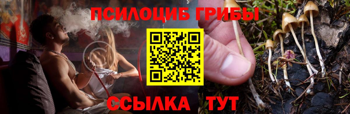 Галлюциногенные грибы Psilocybine cubensis  закладки  Снежинск  Вход с VPN  Галлюциногенные грибы прущие грибы 